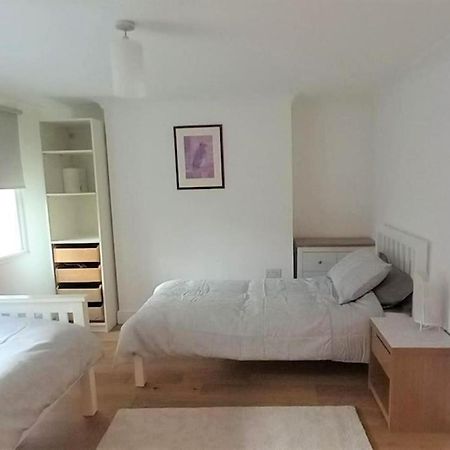 2 Bedroom Victorian Garden Flat Лондон Экстерьер фото