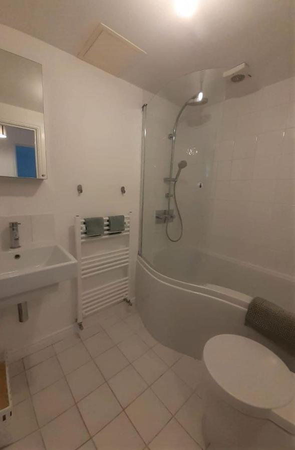 2 Bedroom Victorian Garden Flat Лондон Экстерьер фото